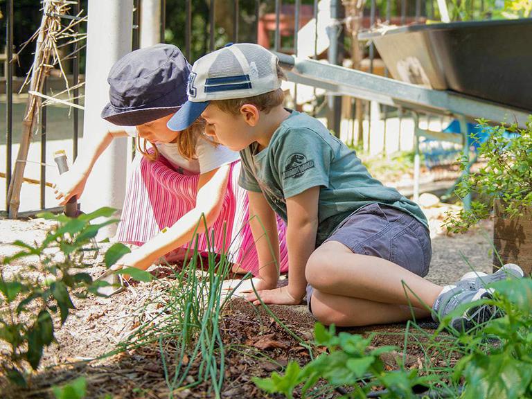 Vacancies at Explore & Develop Frenchs Forest Toddle