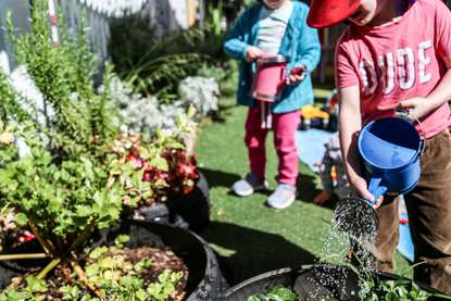 Kinderoos (Arncliffe)