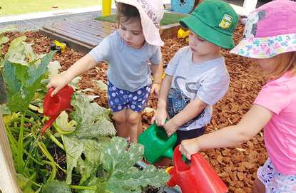 Strawberry Fields Cottage Preschool & Long Day Care Centre