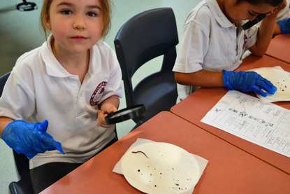 Tall Trees Before & After School Care
