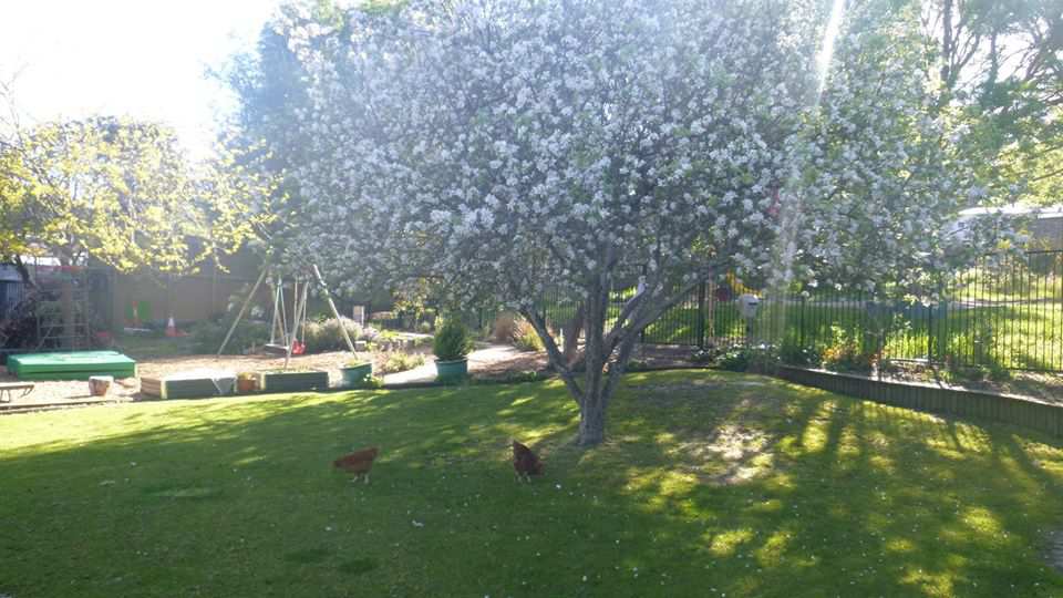 Vacancies at Lobethal Community Kindergarten Toddle